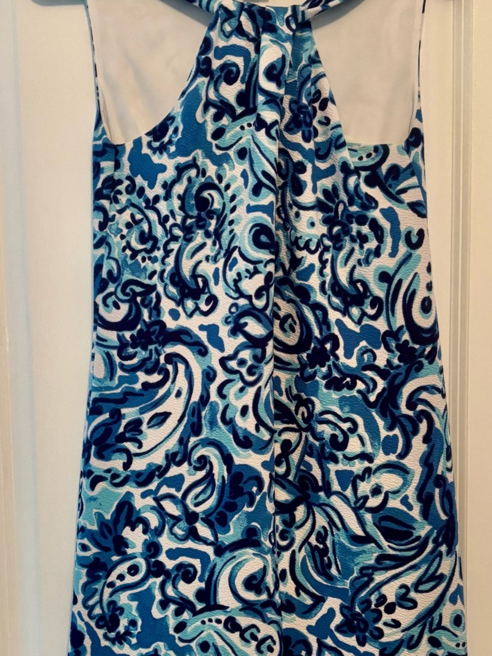 Jessica H. Blue Multi Paisley Dress